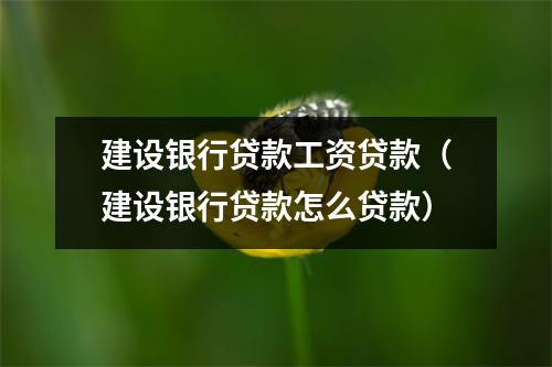 建设银行贷款工资贷款（建设银行贷款怎么贷款）