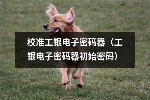 校准工银电子密码器（工银电子密码器初始密码）