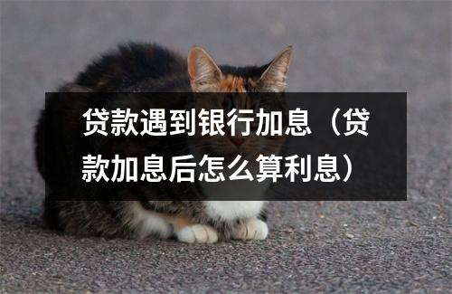 贷款遇到银行加息（贷款加息后怎么算利息）