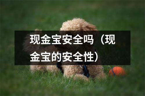 现金宝安全吗（现金宝的安全性）
