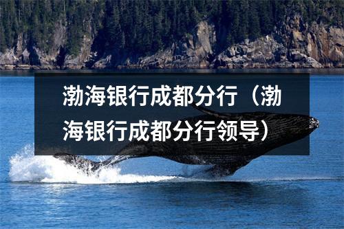 渤海银行成都分行(渤海银行成都分行领导)