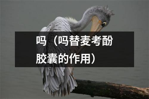 吗（吗替麦考酚胶囊的作用）