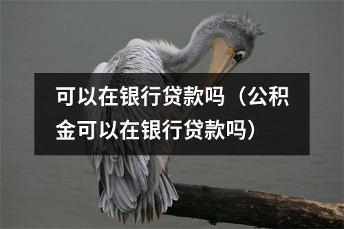 可以在银行贷款吗（公积金可以在银行贷款吗）