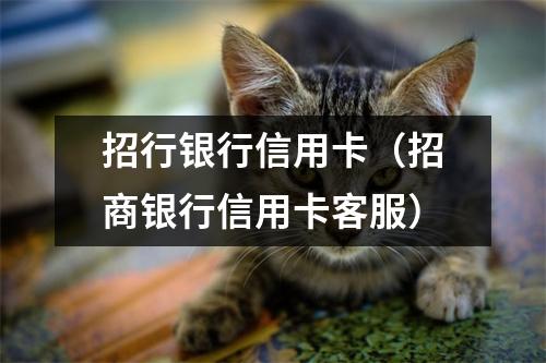 招行银行信用卡（招商银行信用卡客服）