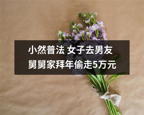 小然普法 女子去男友舅舅家拜年偷走5万元