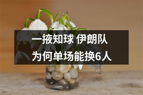 一掖知球 伊朗队为何单场能换6人