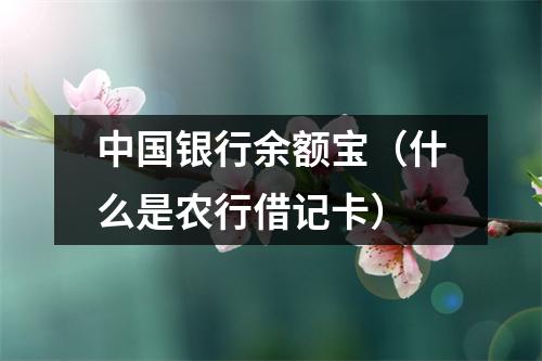 中国银行余额宝（什么是农行借记卡）