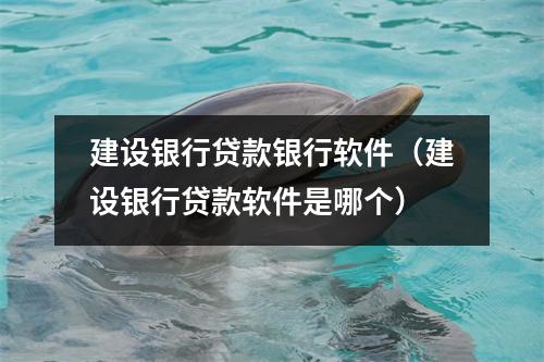 建设银行贷款银行软件（建设银行贷款软件是哪个）