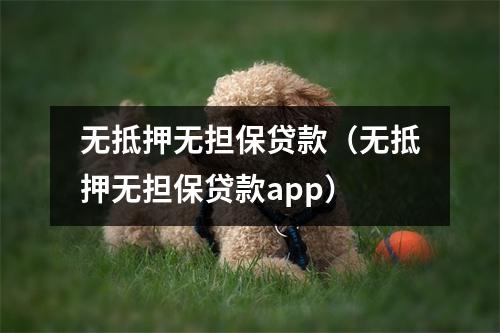 无抵押无担保贷款（无抵押无担保贷款app）