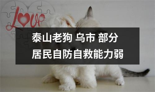 泰山老狗 乌市 部分居民自防自救能力弱