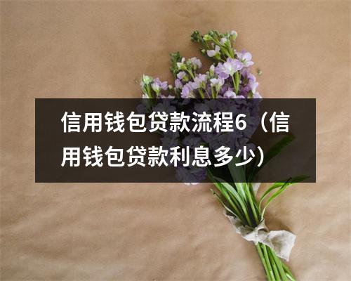 信用钱包贷款流程6（信用钱包贷款利息多少）