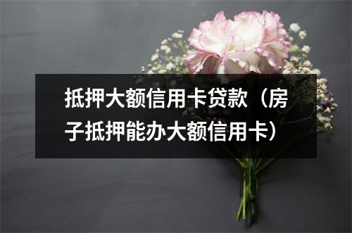 抵押大额信用卡贷款（房子抵押能办大额信用卡）