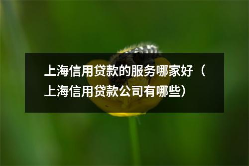上海信用贷款的服务哪家好（上海信用贷款公司有哪些）