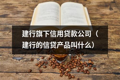 建行旗下信用贷款公司（建行的信贷产品叫什么）