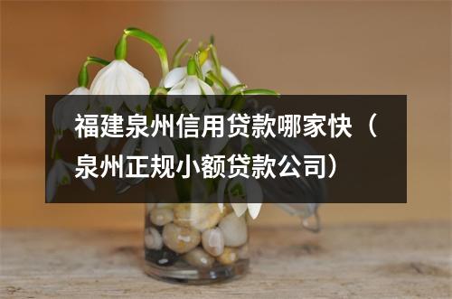 福建泉州信用贷款哪家快（泉州正规小额贷款公司）