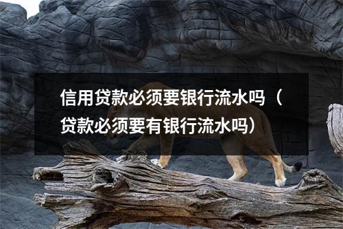 信用贷款必须要银行流水吗（贷款必须要有银行流水吗）