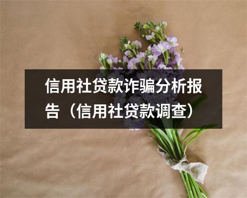 信用社贷款诈骗分析报告(信用社贷款调查)