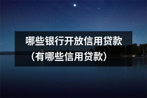 哪些银行开放信用贷款（有哪些信用贷款）