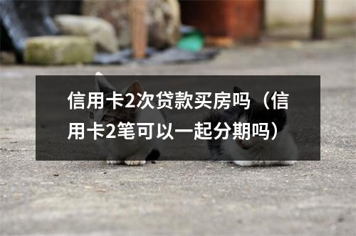 信用卡2次贷款买房吗（信用卡2笔可以一起分期吗）