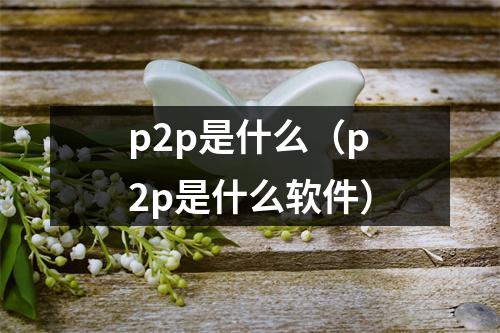 p2p是什么（p2p是什么软件）