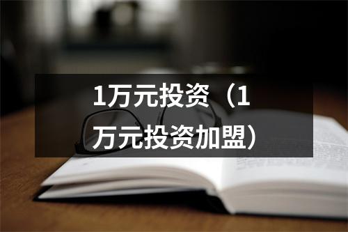 1万元投资（1万元投资加盟）