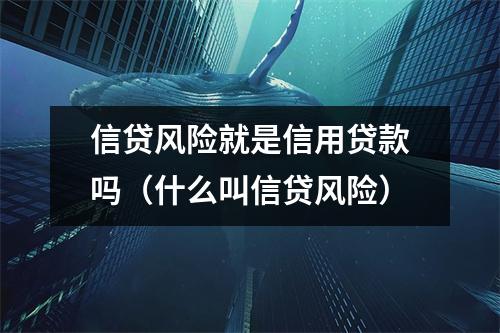 信贷风险就是信用贷款吗（什么叫信贷风险）