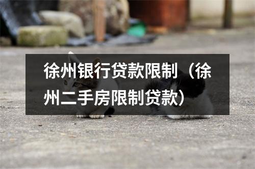 徐州银行贷款限制(徐州二手房限制贷款)