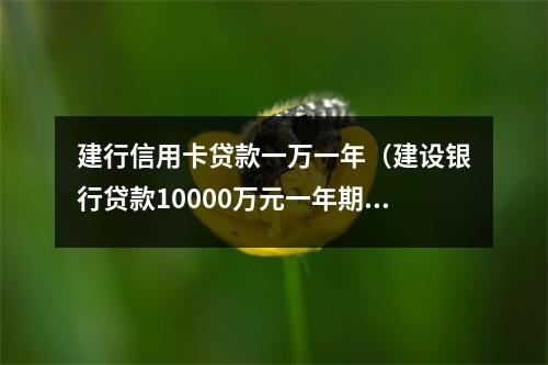 建行信用卡贷款一万一年(建设银行贷款10000万元一年期可以吗?)