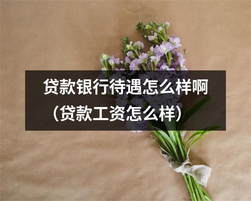 贷款银行待遇怎么样啊（贷款工资怎么样）