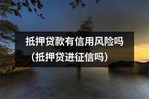 抵押贷款有信用风险吗(抵押贷进征信吗)