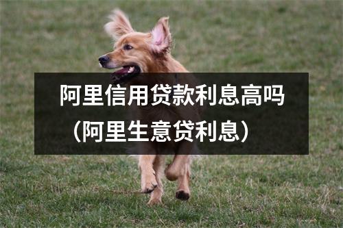 阿里信用贷款利息高吗（阿里生意贷利息）
