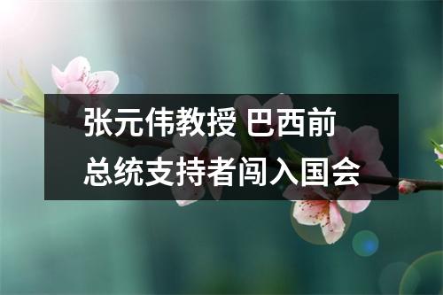 张元伟教授 巴西前总统支持者闯入国会