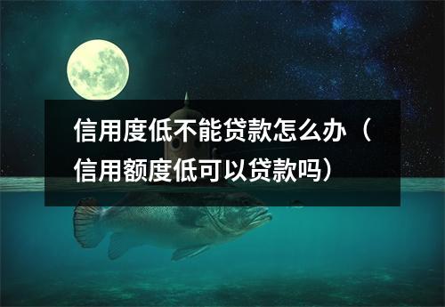 信用度低不能贷款怎么办(信用额度低可以贷款吗)
