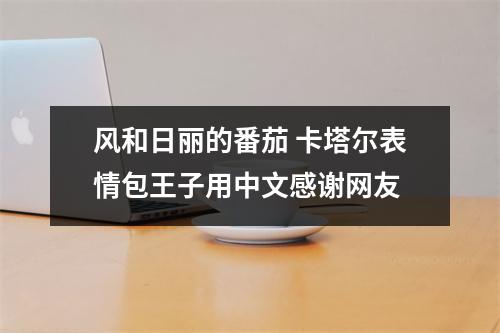 风和日丽的番茄 卡塔尔表情包王子用中文感谢网友