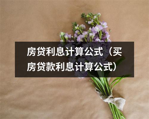 房贷利息计算公式（买房贷款利息计算公式）