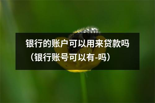 银行的账户可以用来贷款吗（银行账号可以有-吗）