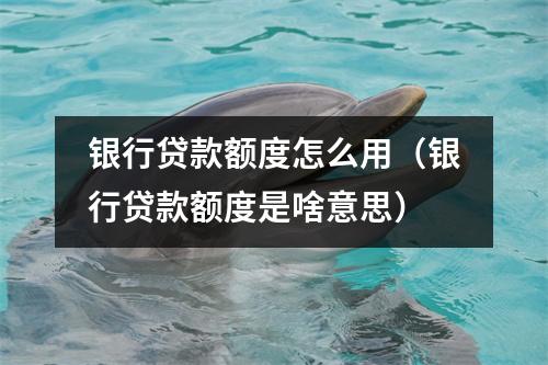银行贷款额度怎么用（银行贷款额度是啥意思）