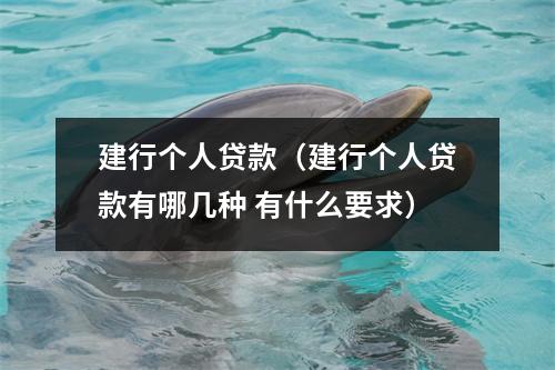 建行个人贷款（建行个人贷款有哪几种 有什么要求）