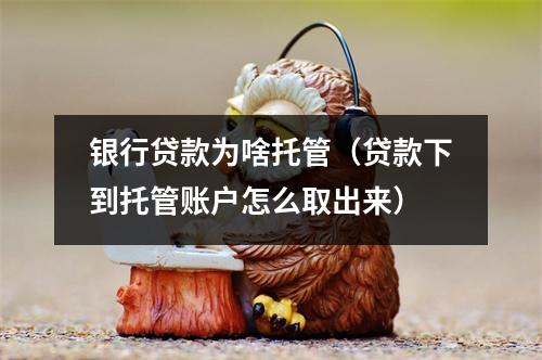 银行贷款为啥托管（贷款下到托管账户怎么取出来）