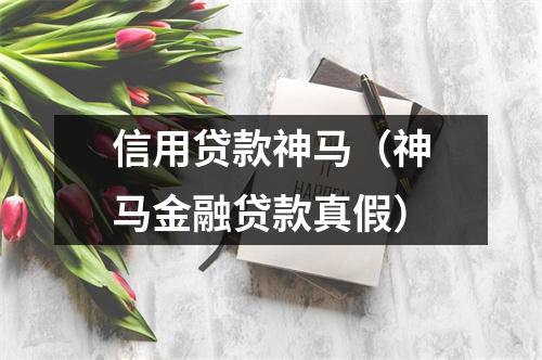 信用贷款神马（神马金融贷款真假）