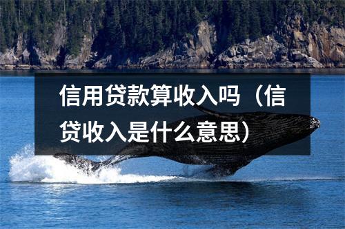 信用贷款算收入吗（信贷收入是什么意思）