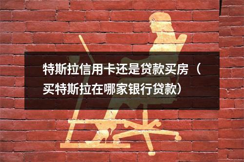 特斯拉信用卡还是贷款买房(买特斯拉在哪家银行贷款)