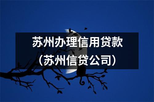 苏州办理信用贷款（苏州信贷公司）