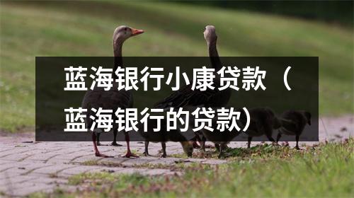 蓝海银行小康贷款（蓝海银行的贷款）