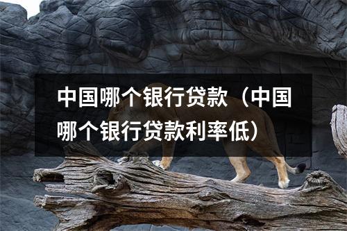 中国哪个银行贷款（中国哪个银行贷款利率低）