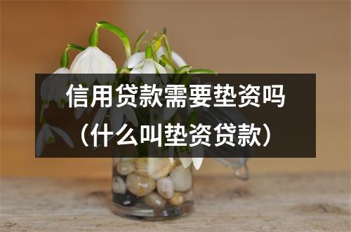 信用贷款需要垫资吗（什么叫垫资贷款）