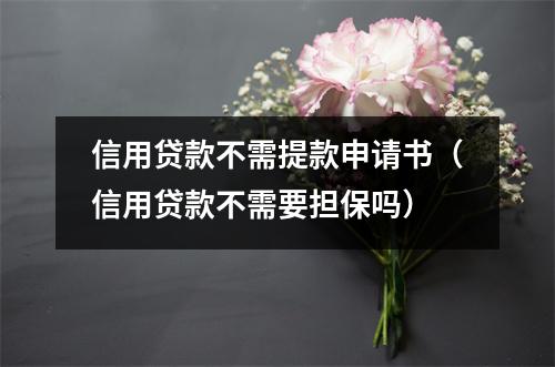 信用贷款不需提款申请书（信用贷款不需要担保吗）