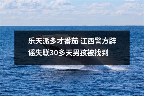 乐天派多才番茄 江西警方辟谣失联30多天男孩被找到