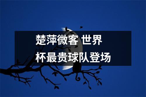 楚萍微客 世界杯最贵球队登场