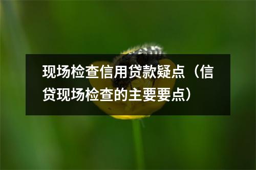 现场检查信用贷款疑点(信贷现场检查的主要要点)